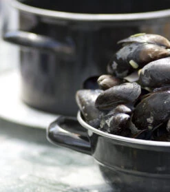 Cosy & Trendy Mosselpan - Zwart - ø 12 Cm / 900 Ml 8 Cosy & Trendy Mosselpan - Zwart - ø 12 Cm / 900 Ml -Aanbiedingen Keukenkracht Winkel 111 PUNT 012