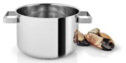 Eva Solo Kookpan Nordic Kitchen RVS - ø 20 Cm / 4 Liter 6 Eva Solo Kookpan Nordic Kitchen RVS - ø 20 Cm / 4 Liter -Aanbiedingen Keukenkracht Winkel 281240 Nordic Kitchen Pot 4l 20cm regi HIGH