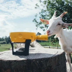 Boska Fondueset Cheesy - 6 Personen - Geel/zwart - 1.3 Liter -Aanbiedingen Keukenkracht Winkel 853512 BOSKAFondueSetSuperCheesy 2 2400x