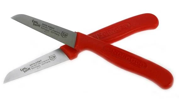 Cosy & Trendy Schilmes RVS - 2 Stuks 1 Cosy & Trendy Schilmes RVS - 2 Stuks