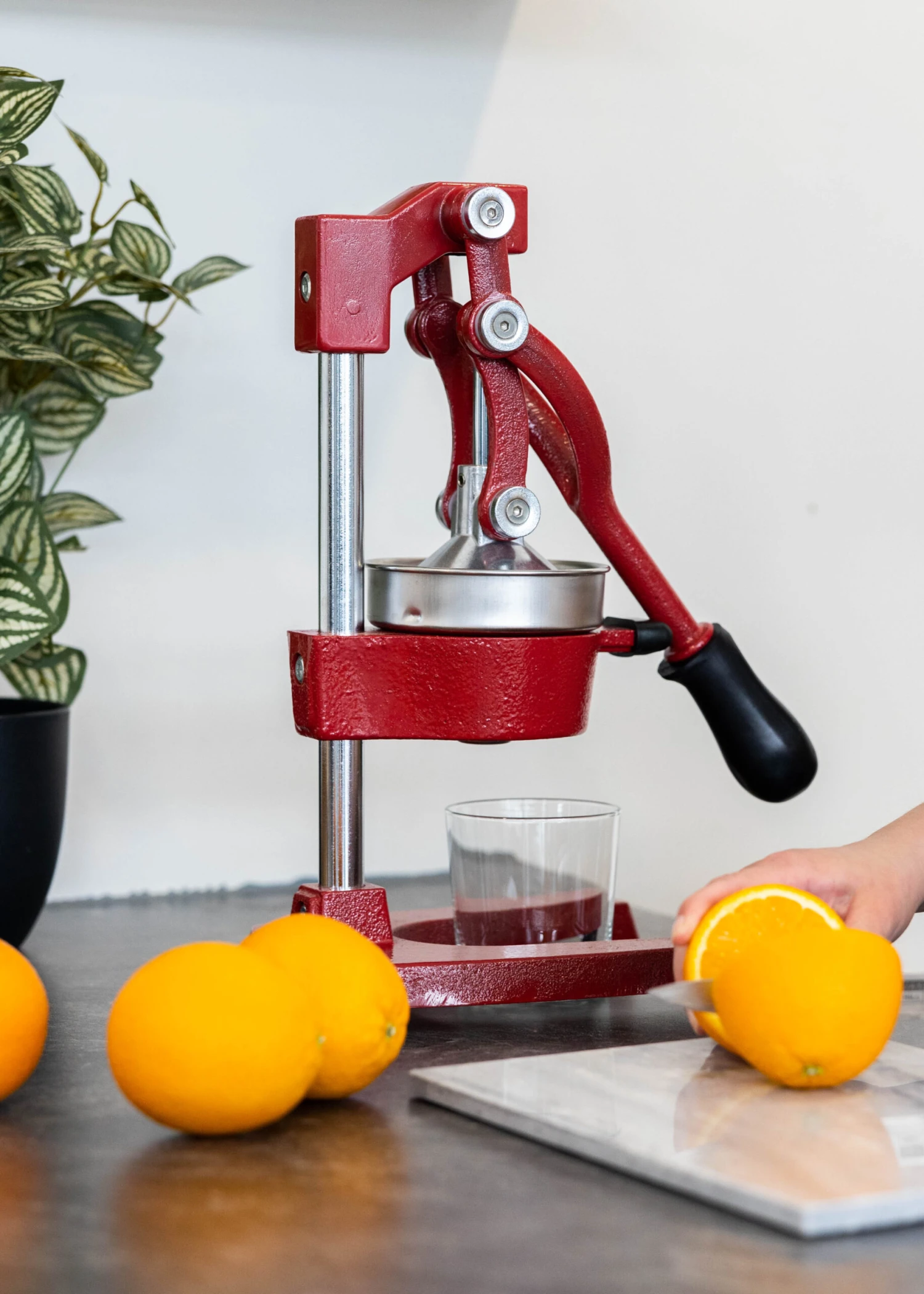Sareva Citruspers - Gietijzer - Hevelmodel - Rood 2 Sareva Citruspers - Gietijzer - Hevelmodel - Rood - Afbeelding 2