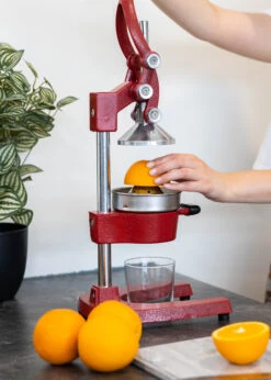 Sareva Citruspers - Gietijzer - Hevelmodel - Rood 11 Sareva Citruspers - Gietijzer - Hevelmodel - Rood -Aanbiedingen Keukenkracht Winkel Citruspers 5 1