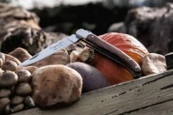 Laguiole Style De Vie Zakmes Rozenhout -Aanbiedingen Keukenkracht Winkel Laguiole zakmes rozenhout sf gr 10