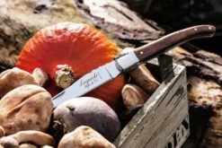 Laguiole Style De Vie Zakmes Rozenhout -Aanbiedingen Keukenkracht Winkel Laguiole zakmes rozenhout sf gr 8