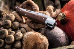 Laguiole Style De Vie Zakmes Rozenhout -Aanbiedingen Keukenkracht Winkel Laguiole zakmes rozenhout sf gr 9