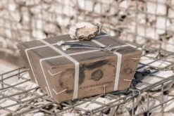 Anovi Oestervorkjes - 4 Stuks -Aanbiedingen Keukenkracht Winkel Oysterforks