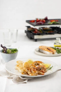 Fritel Gourmetstel RG 4180 -Aanbiedingen Keukenkracht Winkel RG 4180 Raclette Grill 142170 06