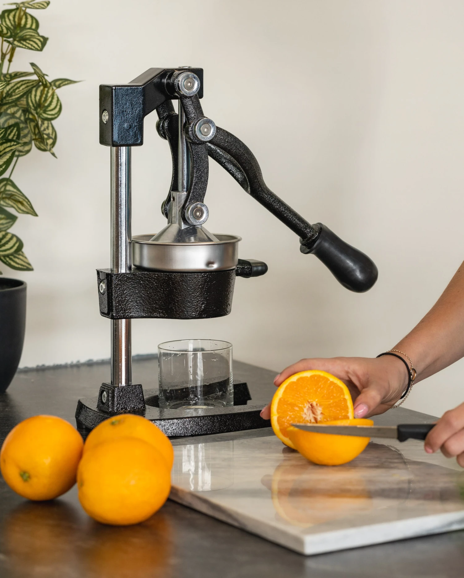 Sareva Citruspers - Gietijzer - Hevelmodel - Zwart 2 Sareva Citruspers - Gietijzer - Hevelmodel - Zwart - Afbeelding 2