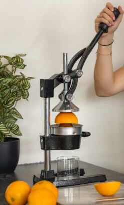 Sareva Citruspers - Gietijzer - Hevelmodel - Zwart 11 Sareva Citruspers - Gietijzer - Hevelmodel - Zwart -Aanbiedingen Keukenkracht Winkel citruspers 4 1