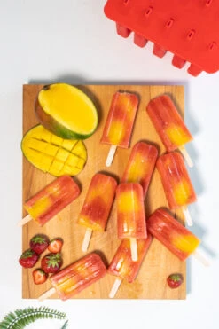 Sareva IJsjesmaker - 10 Ijsjes - Rood - Siliconen - Easy Release - Herbruikbaar -Aanbiedingen Keukenkracht Winkel sareva ijsjesmaker 1