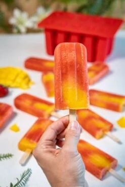 Sareva IJsjesmaker Voor 10 Ijsjes - Rood - Siliconen + 150 Houten IJsstokjes -Aanbiedingen Keukenkracht Winkel sareva ijsjesmaker 2